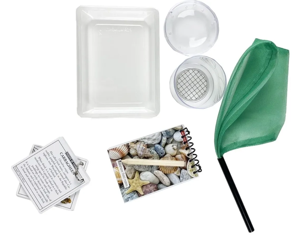 Discount Lagoon About the Seashore - Rockpools & Beaches