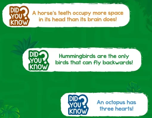 Outlet Skillmatics Amazing Animals - Rank Up!