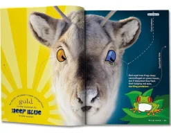 Britannica Books Animal Factopia - 400 Fun Furry Facts!