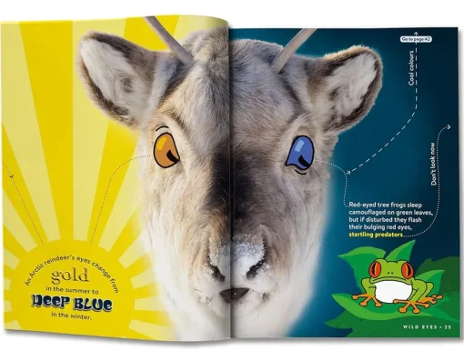 Britannica Books Animal Factopia - 400 Fun Furry Facts!