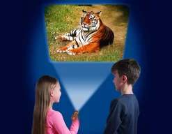 Clearance Brainstrom Toys Animal Torch and Projector