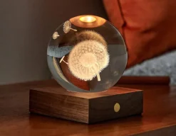 Clearance Gingko Dandelion Crystal Light - 3D Effect