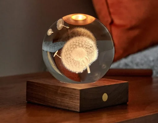 Clearance Gingko Dandelion Crystal Light - 3D Effect