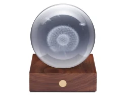 Clearance Gingko Dandelion Crystal Light - 3D Effect