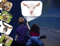 Online Brainstorm Toys Funny Animals Torch & Projector