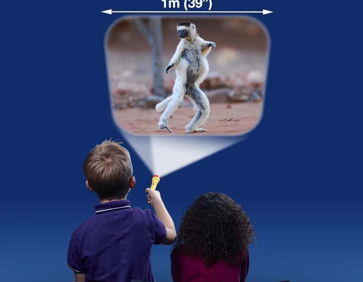 Online Brainstorm Toys Funny Animals Torch & Projector