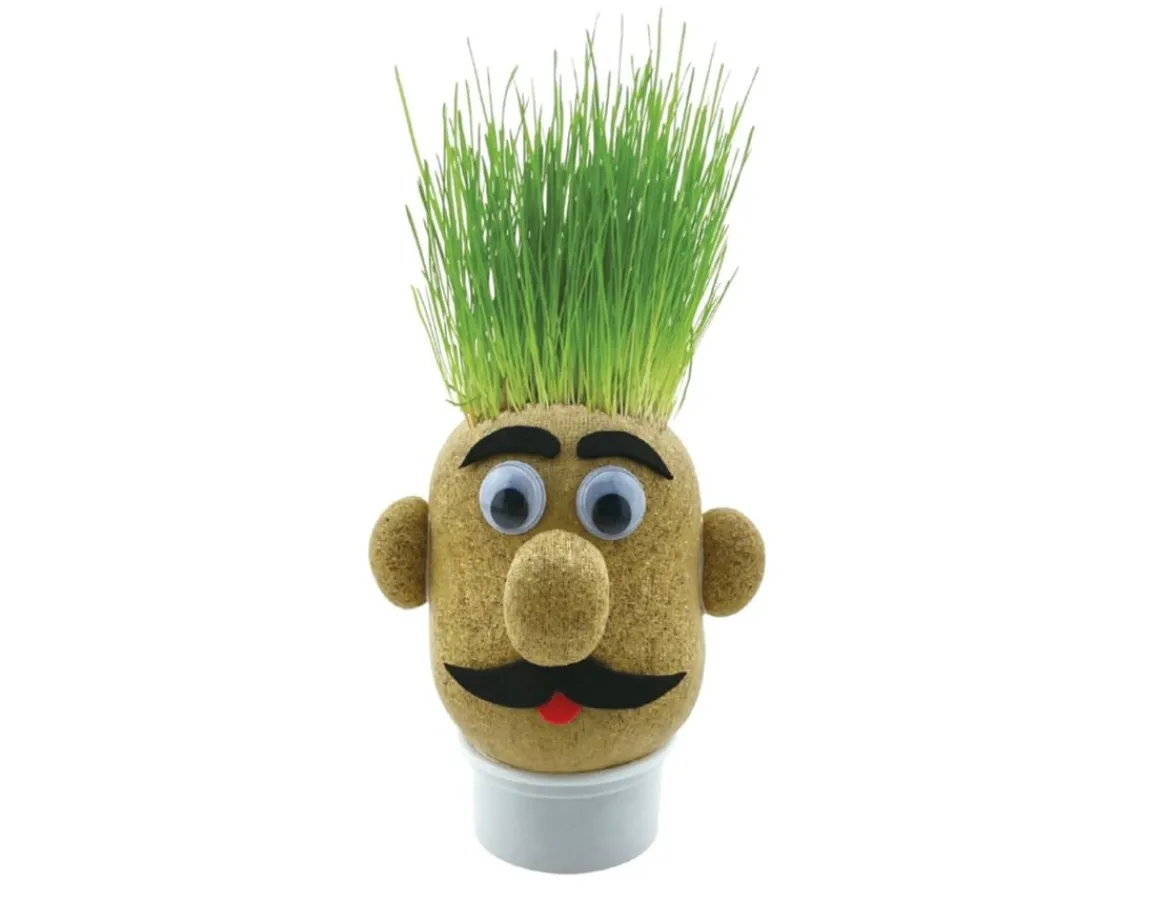 New Funtime Gifts Grass Head - Grow Your Own