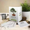 Hot Gift Republic Grow It - Bonsai Trees