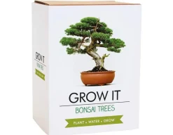 Hot Gift Republic Grow It - Bonsai Trees