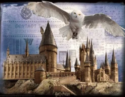 Discount Wizarding World Harry Potter Hogwarts 3D Puzzle