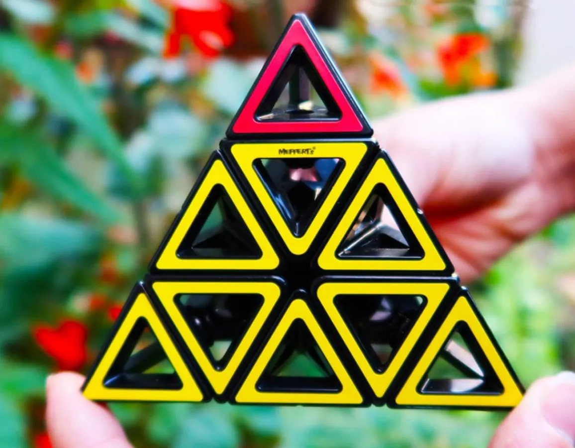 Hot Recent Toys Hollow Pyraminx - Can You Solve It?
