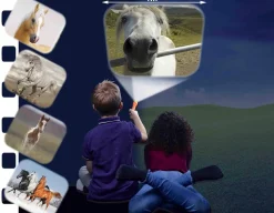 Sale Brainstorm Toys Horse Torch and Projector
