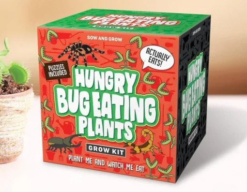 Clearance Gift Republic Hungry Bug Eating Plants - Grow Your Own