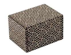 Outlet Professor Puzzle Japanese Puzzle Box - Surprise Inside!