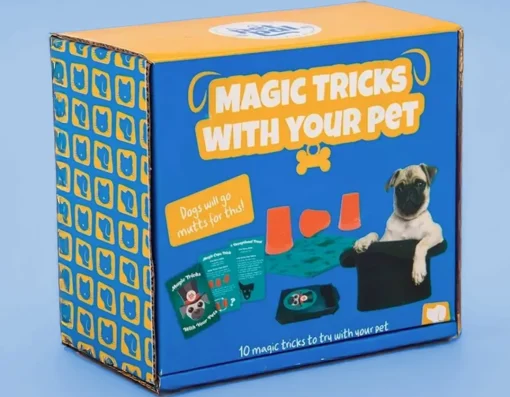 Best Fizz Creations Magic Tricks With Your Pet