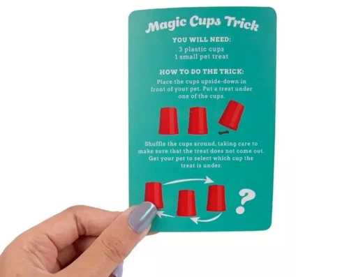 Best Fizz Creations Magic Tricks With Your Pet