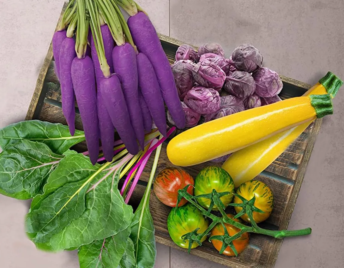 Sale Gift Republic Radical Rainbow Veg - Sow & Grow your 5 a day!