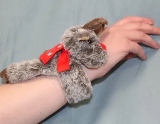 Discount Wonderbox Reindeer Returns Home - Snap & Snuggle