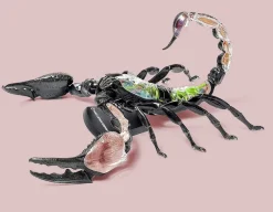 Hot Thames and Kosmos Scorpion Anatomy 3D Model - 29 Pieces
