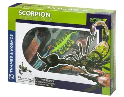 Hot Thames and Kosmos Scorpion Anatomy 3D Model - 29 Pieces