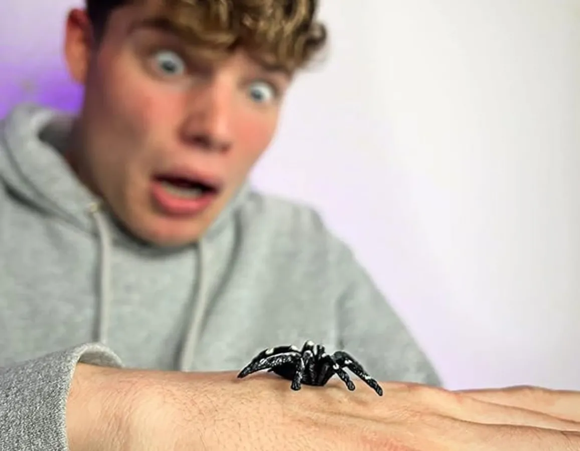 Outlet Shock Tricks Ltd Spider Pack - Wicked Pranks