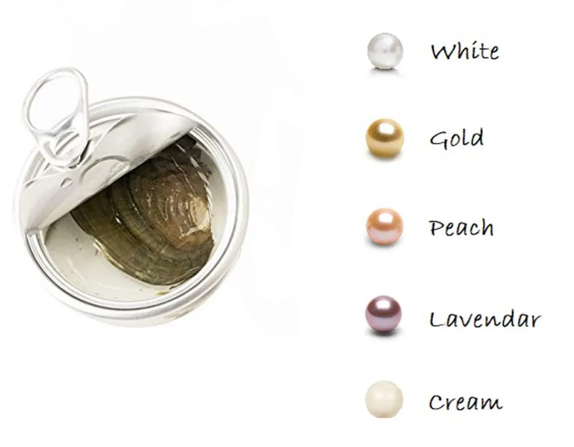 Outlet Global Journey Gifts Turtle Pearl Gift Set - Real Pearl in Clam