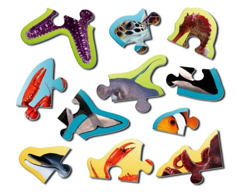 Online Skillmatics Underwater Puzzles - Ten Ocean Animals