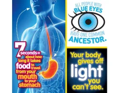 Clearance National Geographic Weird But True - Human Body